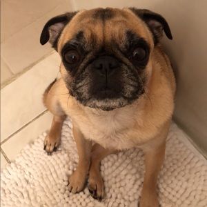 Meet your Posher, Brooke